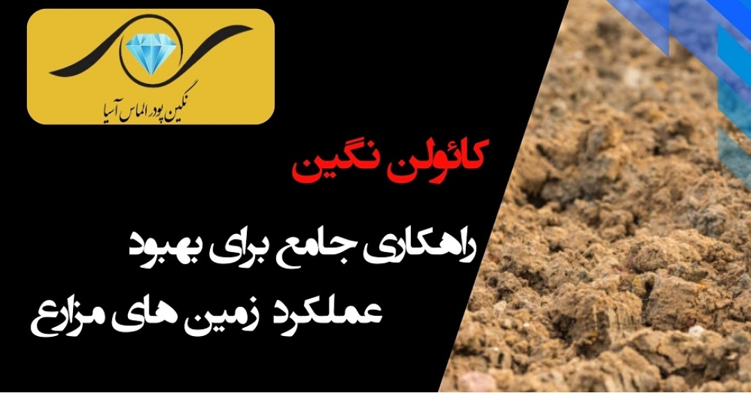 کائولن نگین پودر: راهنمای کامل استفاده در کشاورزی برای افزایش محصول و بهبود کیفیت خاک