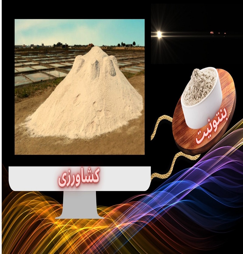 تحولی شگفتانگیز در کشاورزی با بنتونیت نگین!