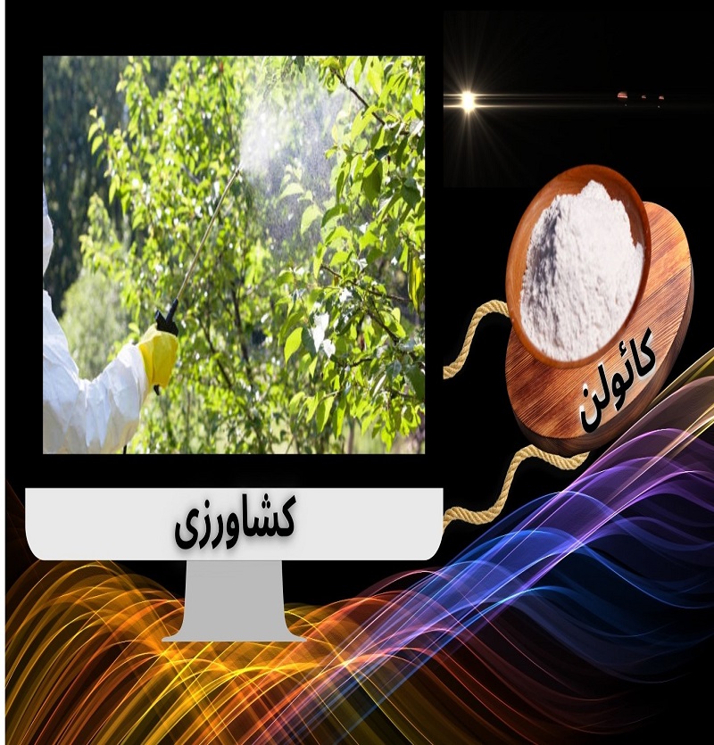 کائولن سوپر: راه حل طبیعی برای مبارزه با آفات و بیماریهای گیاهی