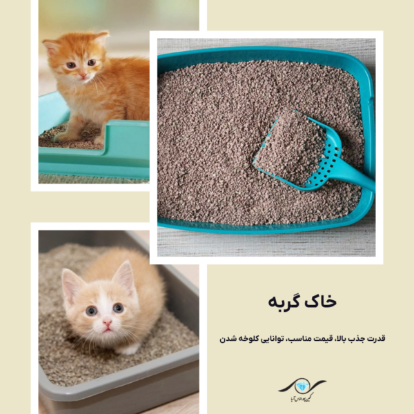 خاک گربه (Cat Litter)