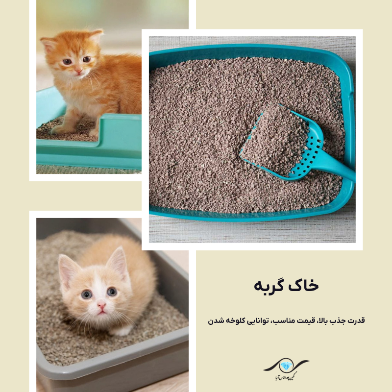خاک گربه (Cat Litter)