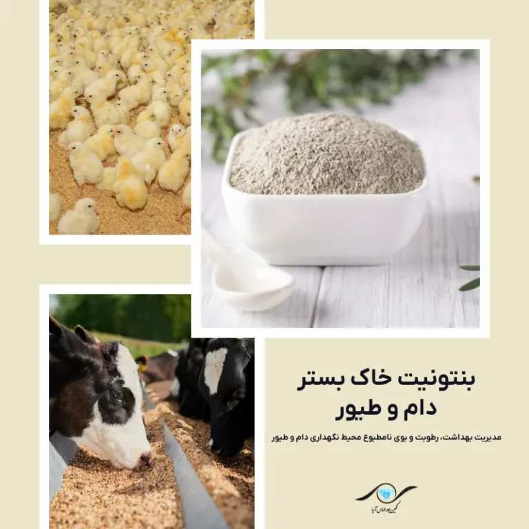 بنتونیت خاک بستر دام و طیور