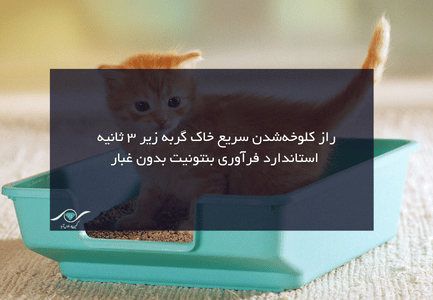 خاک گربه
