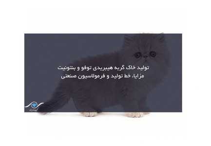 خاک گربه هیبریدی توفو و بنتونیت