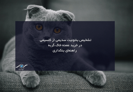 خاک گربه